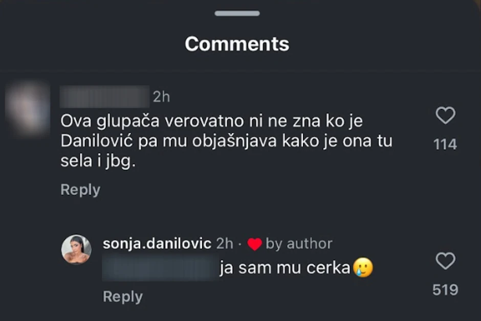 Sonja Danilović, komentar