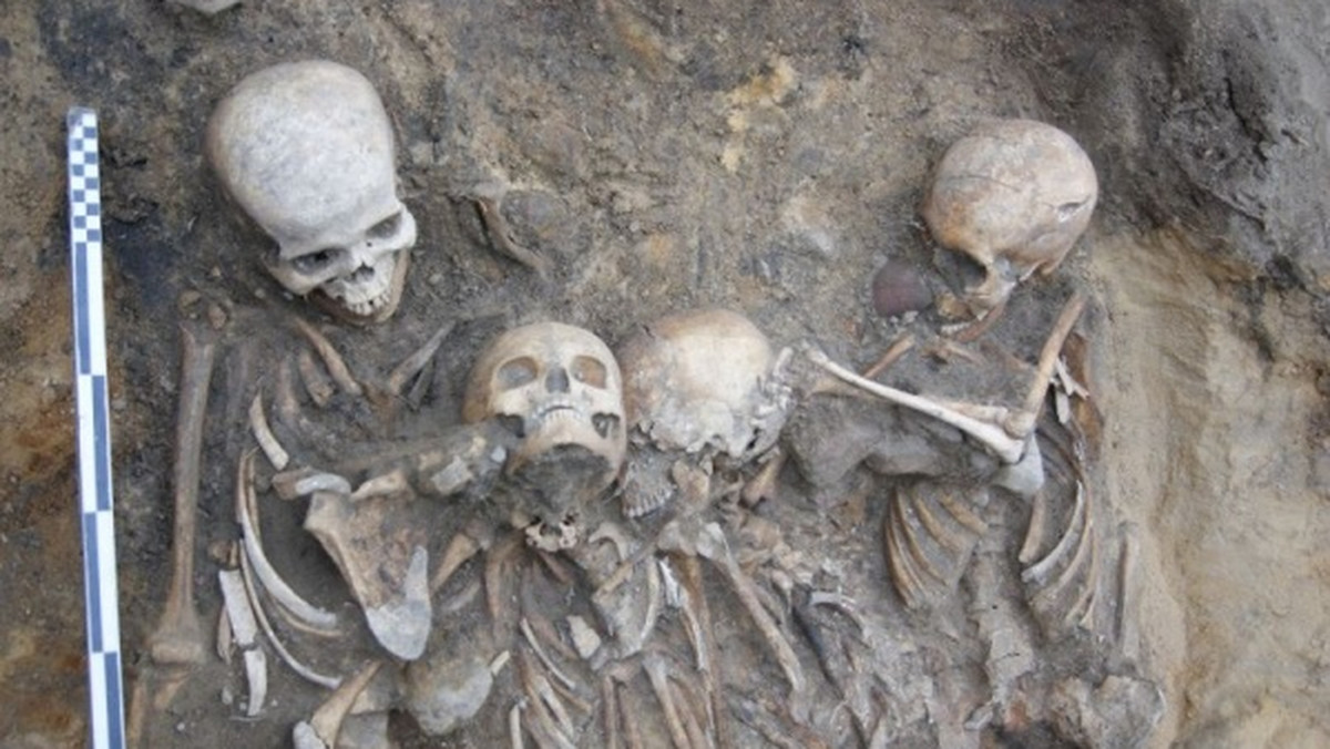 Archeolodzy prowadzący prace w Byczynie natrafili na kolejne niezwykłe odkrycie. Szczątki, pochodzące prawdopodobnie z XIV wieku, to osoby, które mogły zostać pochowane za życia. Wrzucono je do dołu grobowego bez trumien.