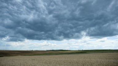 Całe rodziny Polaków z nożami w plecach. Piotr Zychowicz: Wołyń skonał w osamotnieniu