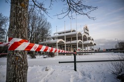 Ucieczka szympansów z zoo w Szwecji. Obława zakończona, oto jej skutki...