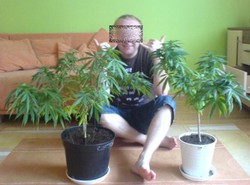 Zgubiło go zdjęcie z marihuaną