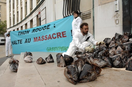 FRANCE-GREENPEACE-DEMO-FISHING