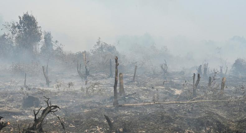 This year's fires have been worsened by dry weather