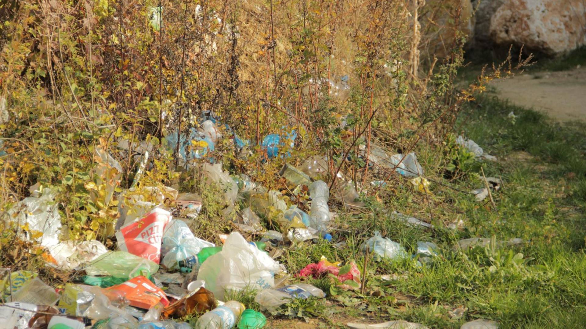 Našla je kesu đubreta na Fruškoj gori i poslala je "vlasniku"