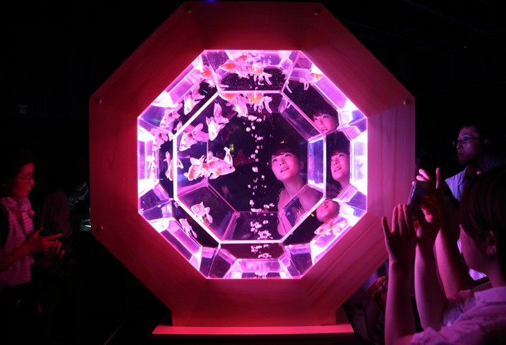 Wystawa Art Aquarium 2013 w Tokio, 26 lipca 2013 roku. Ceny produktów i usług w Japonii wzrosły w październiku tego roku o 0,9 proc. w ujęciu rocznym. To już piaty miesiąc zwyżki z rzędu. Z kolei inflacja bazowa bez uwzględnienia cen żywności i energii wzrosła o 0,3 proc. rok do roku, najmocniej od 15 lat. Kraj powoli otrząsa się z dręczącej jej od 15 lat deflacji. Fot. Tomohiro Ohsumi, Bloomberg's Best Photos 2013.