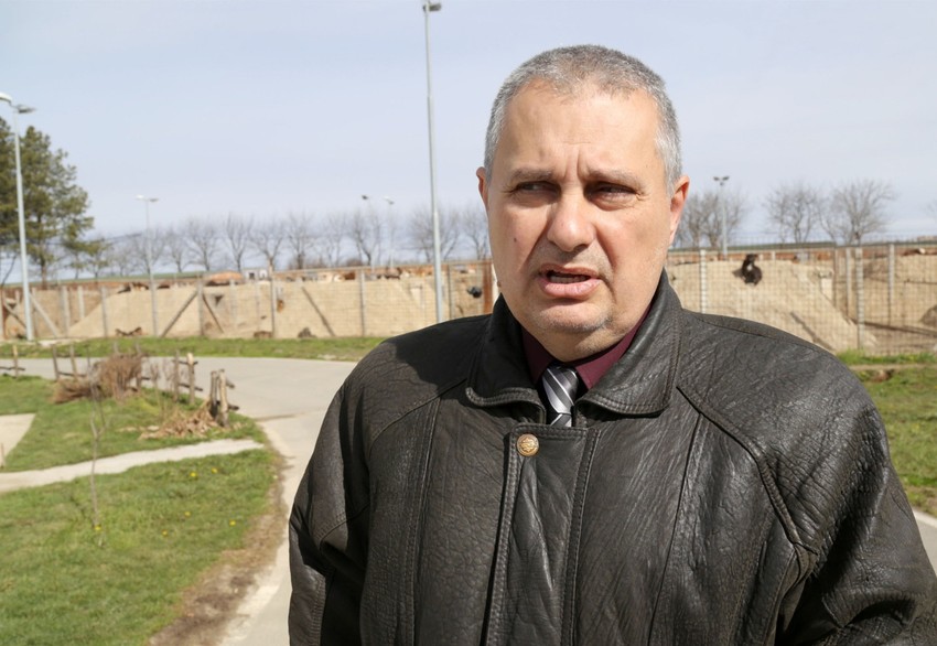 Budimir Grubić, prvi čovek "Veterine Beograd" 