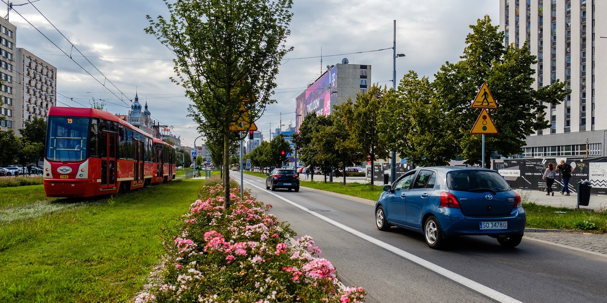 Katowice stawiają na zieleń. W planie mają kolejne pokrycie roślinnością 4 kolejnych przystanków.