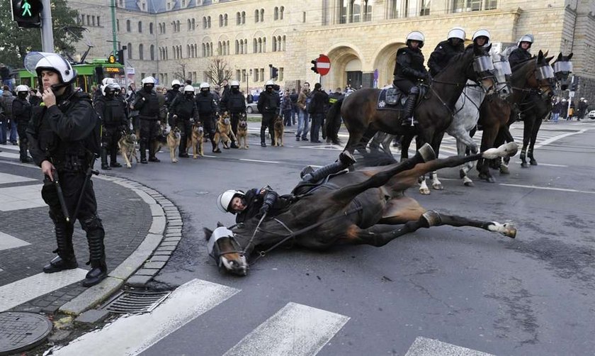 Koń poniósł policjanta