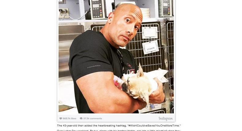 Dwayne Johnson loses puppy to food poisoning