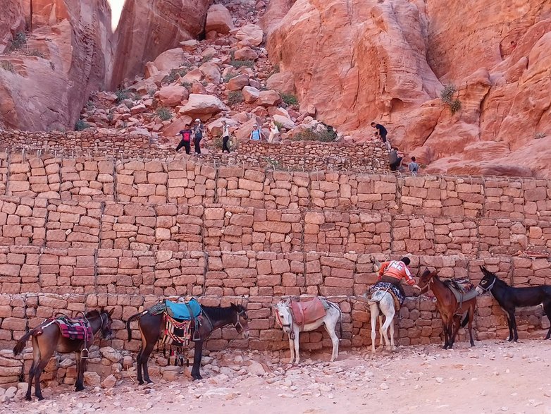 Petra