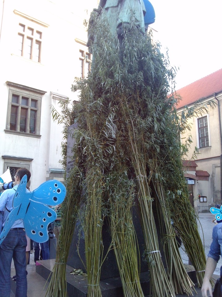 Protest ws. krakowskiego Zakrzówka