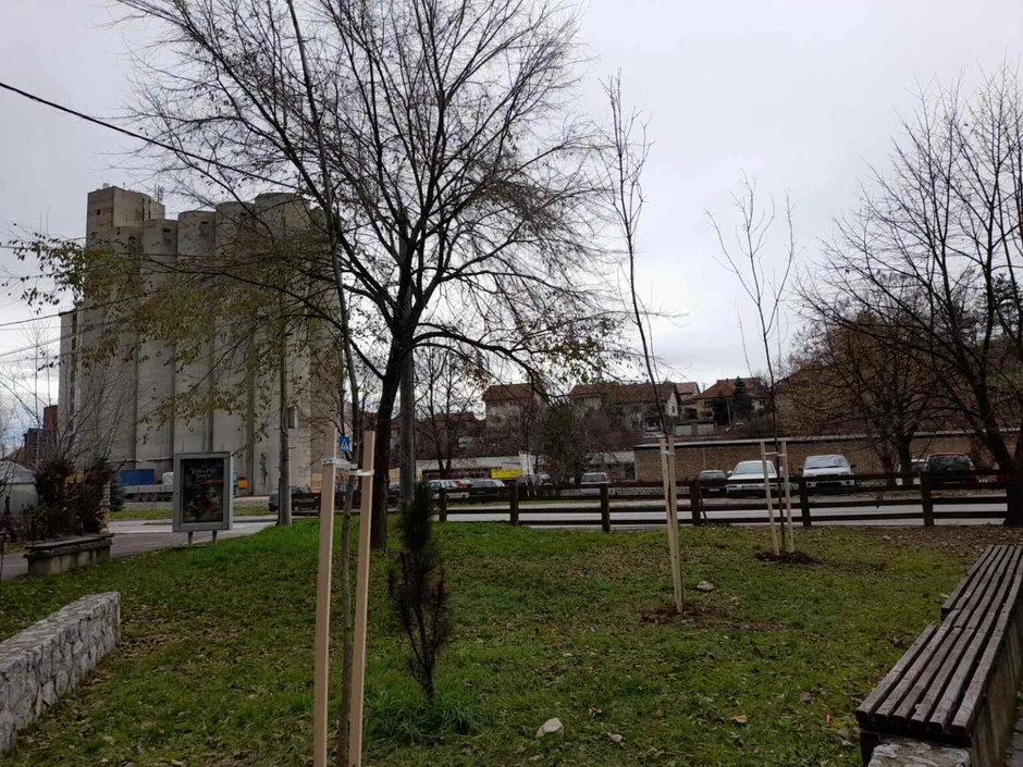 Po planu pošumljavanja u najvećem gradskom parku u Valjevu treba da bude posađeno 400 novih stabala
