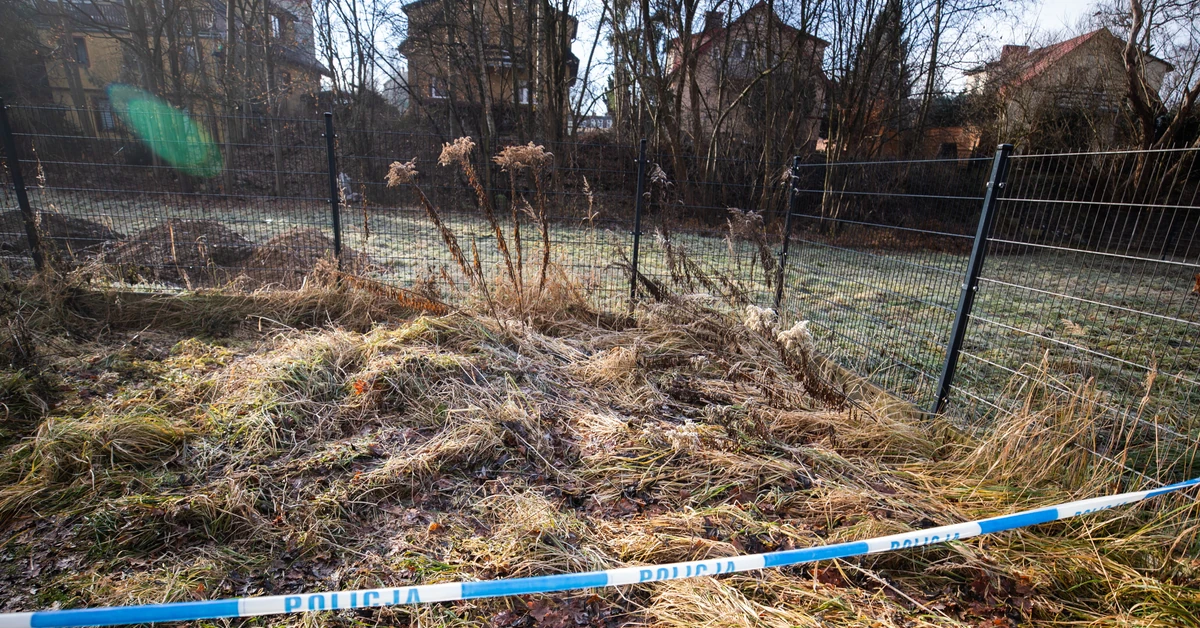 Zabójstwo 11-letniej Danusi. "Policja ustaliła tożsamość dwóch osób"