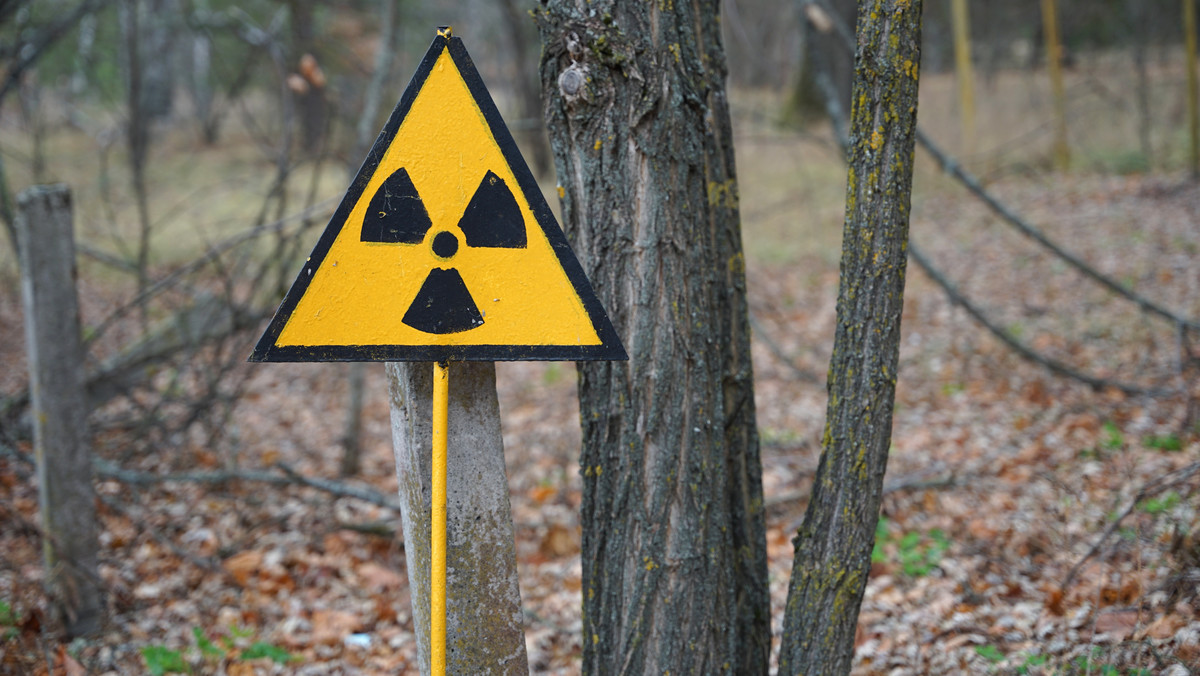 Ciekawe odkrycie naukowców. Robaki z Czarnobyla są odporne na promieniowanie.