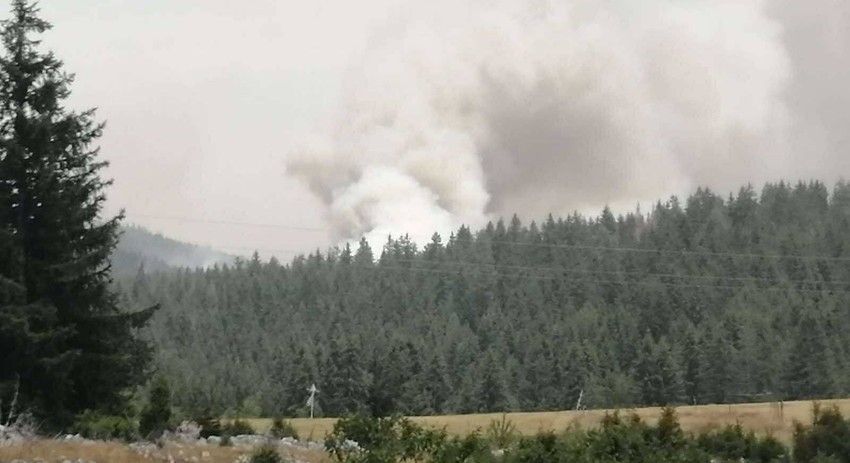 šumski požar u pograničnom pojasu Srbije i Crne Gore u reonu Kamene Gore