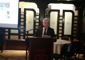 Nedeljko Čubrilovic