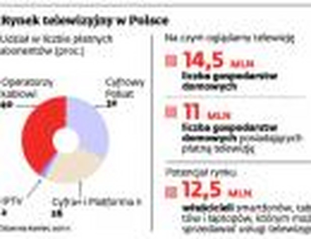 Rynek telewizyjny w Polsce