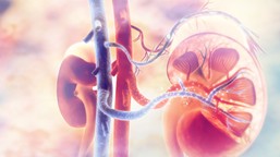 przewlekła choroba nerek: prosta metoda może umożliwić wczesne wykrywa