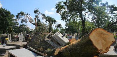 40 drzew zwaliło się na cmentarz w Konstantynowie Łódzkim