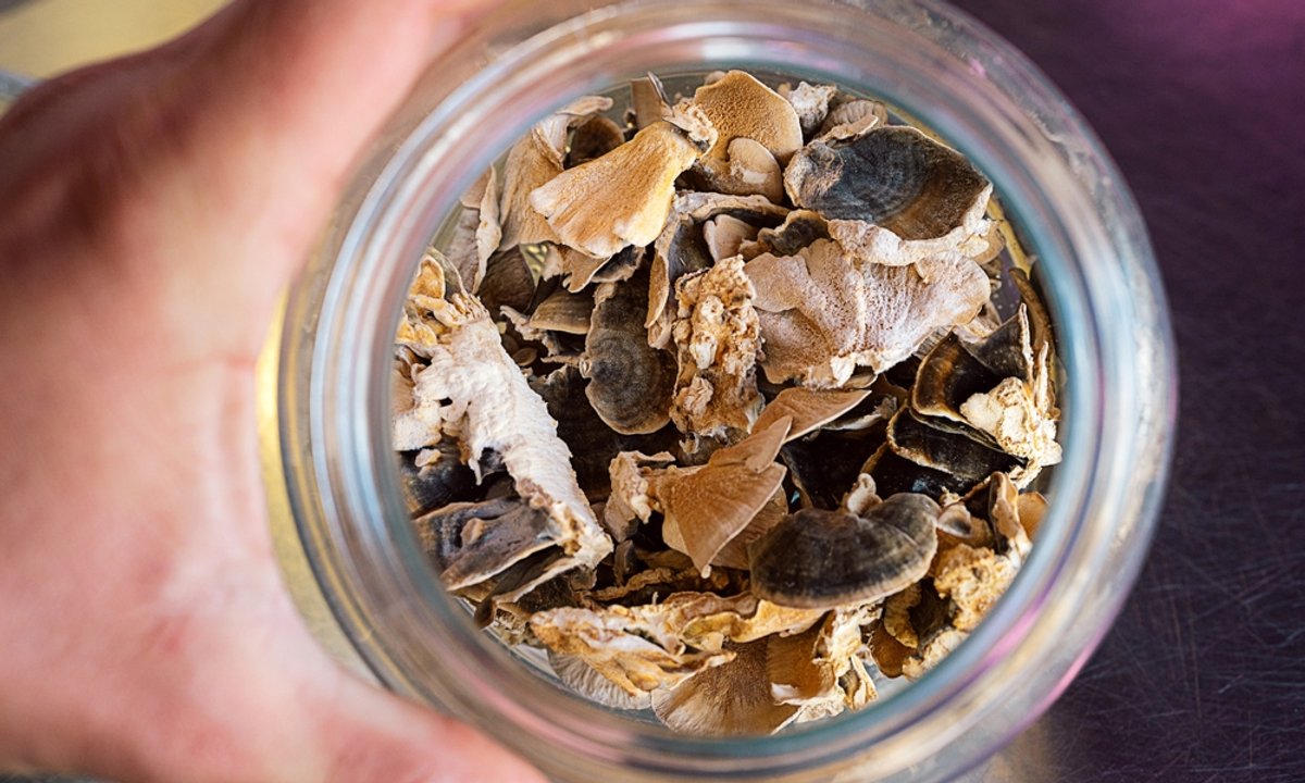 Nigdy nie susz tych grzybów. Stają się toksyczne i groźne dla zdrowia