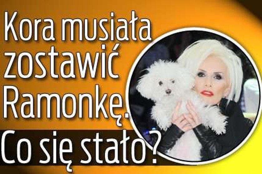 Dramat jurorki "Must Be The Music". Kora musiała rozstać się z Ramonką!