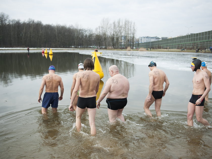 Zimni Pływacy w Katowicach