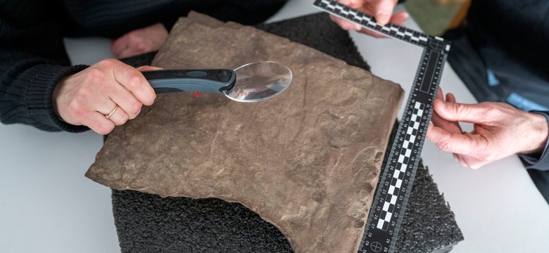 Niezwykłe odkrycie w Norwegii. "Tekst prawdopodobnie odnosi się do kobiety..."