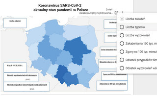 Koronawirus w Polsce [AKTUALNA MAPA ZAKAŻEŃ]