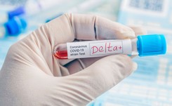 Wariant Delta przenosi się łatwo jak ospa, powoduje cięższy przebieg Covid-19