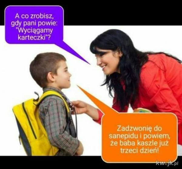 Najlepsze memy o szkole