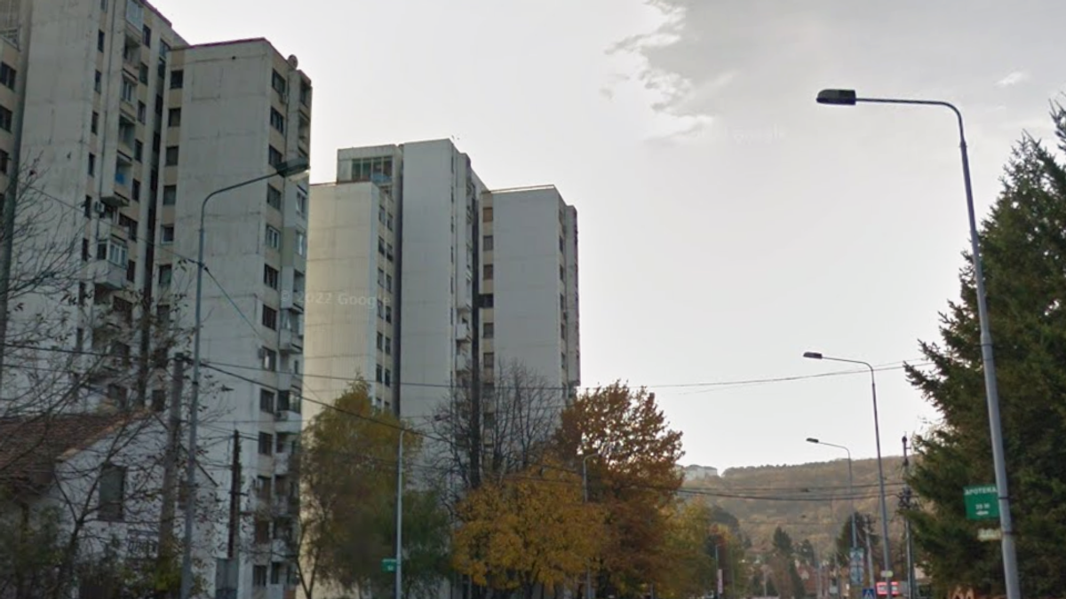 (FOTO) NESTALA KIRA SA KANAREVOG BRDA! Vlasnica NE PRESTAJE da je traži, NAGRADA dostigla 1.500 evra