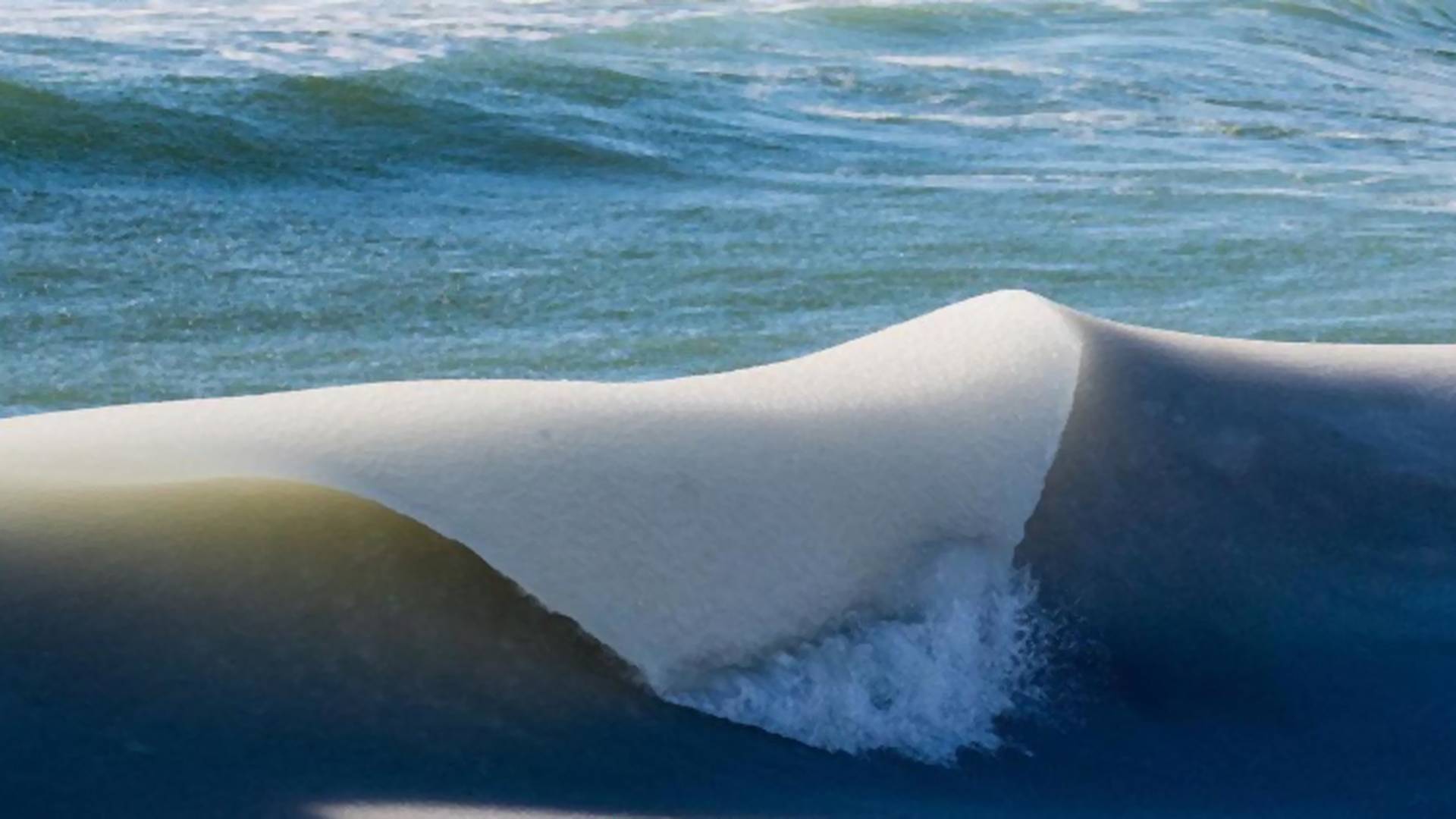 Ritka jelenséget fotóztak Amerika partjainál, fagyott hullám jelent meg