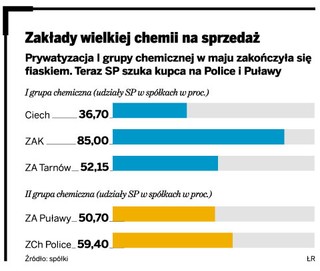 Gazprom ma ochotę na polskie spółki chemiczne