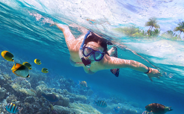 Nie masz odwagi na głębsze nurkowanie? Odkryj snorkeling