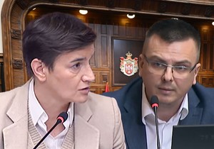 Parandilović i Ana Brnabić