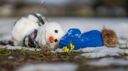 niewiarygodna prognoza. prawie 20 stopni celsjusza w lutym. oto data powrotu wiosny