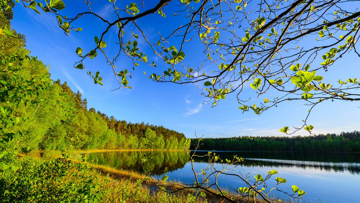 Jeziora w Polsce - gdzie woda jest najczystsza? 