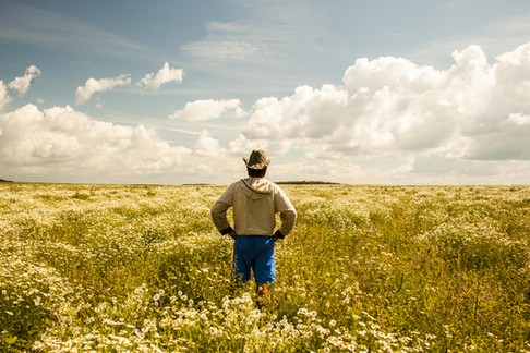 Man on field of wild flowers, Sarsy village, Sverdlovsk region, Russia