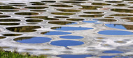 Spotted Lake