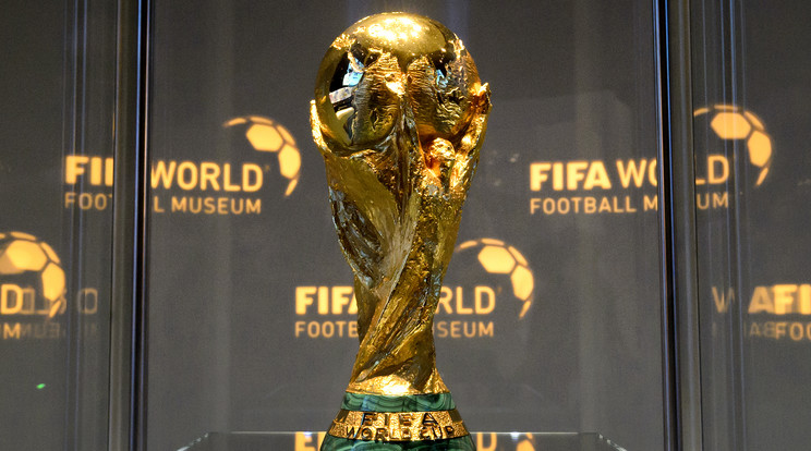A közgazdász szerint a világbajnokság színvonala nem növekedik majd a létszámemeléssel párhuzamosan /Fotó: AFP