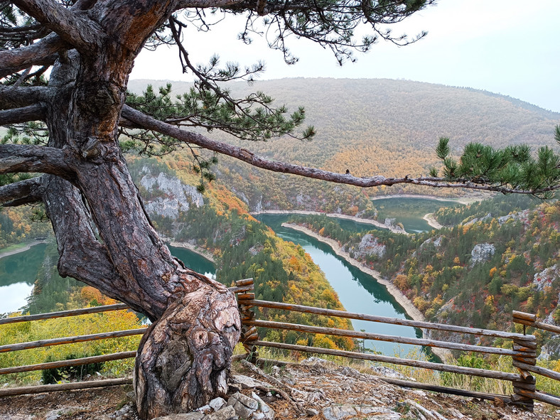 Meandri Ćehotine w jesiennej odsłonie