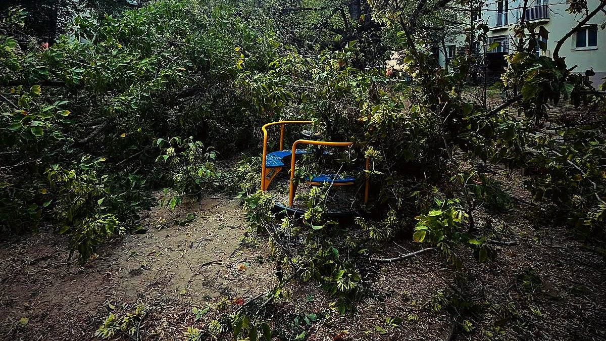 Samovoľný pád koruny stromu na detskom ihrisku v Ružinove.
