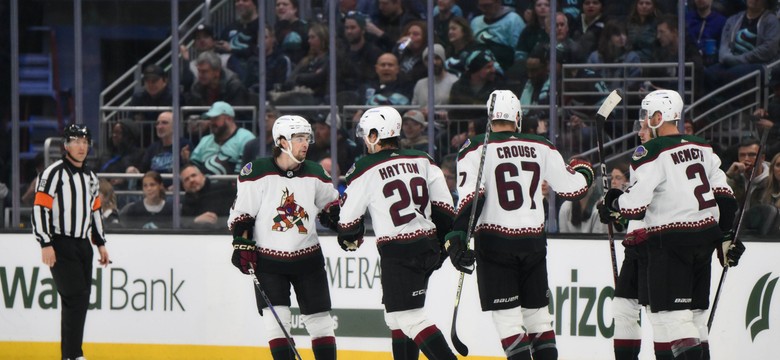 Przyszłość Arizona Coyotes pod znakiem zapytania