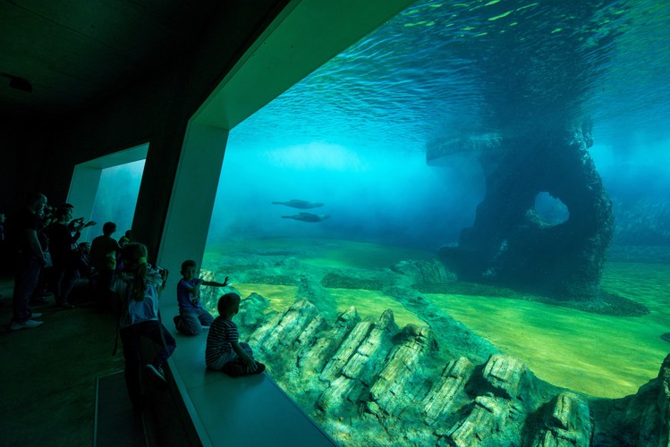 Wrocławskie Afrykarium