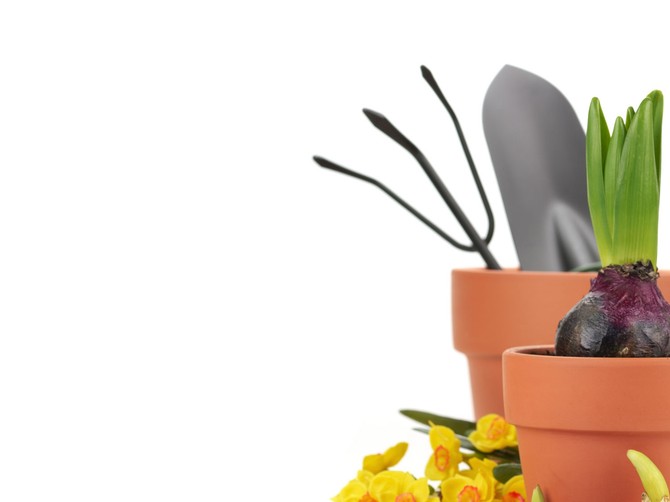 10795_web-stock-photo-gardening-supplies-with-flowers-and-tools-on-the-white-shutterstock_47620066
