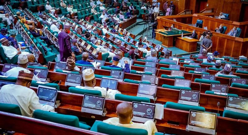 Lawmakers in the House of Representatives [NASS]