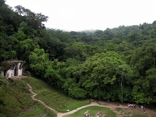 Galeria Meksyk - Palenque - zaginione miasto Majów, obrazek 23