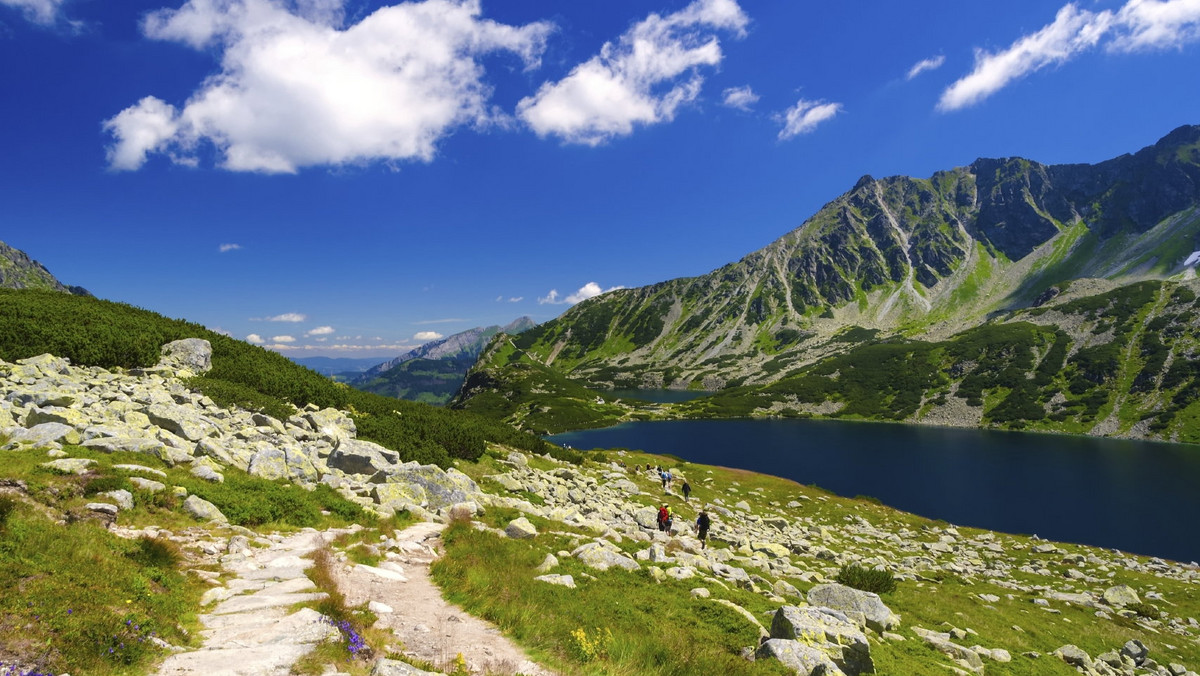 W związku z bardzo dużą ilości śmiertelnych wypadków turystycznych na Orlej Perci w Tatrach, Tatrzański Park Narodowy (TPN) wraz z ratownikami górskimi wydał folder informujący zagrożeniach na tym najtrudniejszym górskim szlaku turystycznym w Polsce.