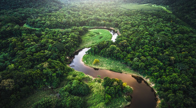 Amazonas