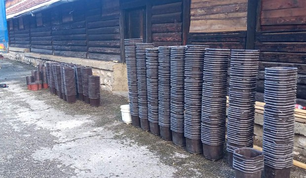 laboratorija-marihuana-1